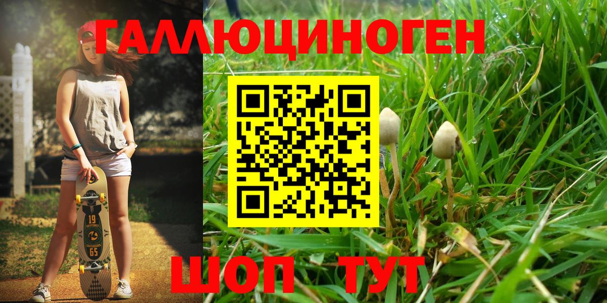 Туапсе  Галлюциногенные грибы мухоморы  Вход с VPN 